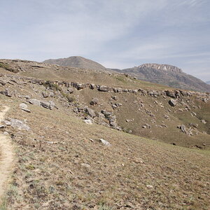 _MG_2426.JPG