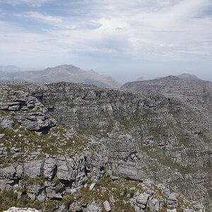 _MG_3593.JPG
