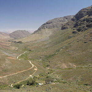 _MG_3667.JPG