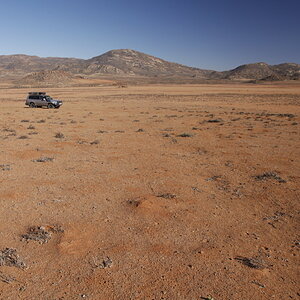 _MG_3856.JPG