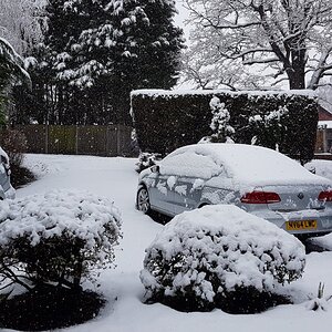 20171210_110443.jpg