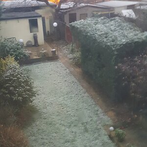 snow.jpg