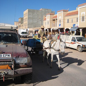 IMG_0523.JPG