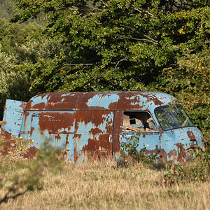 DSC_4762.jpg