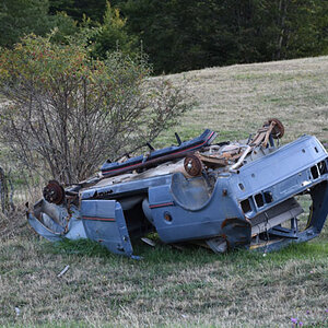 DSC_4766.jpg