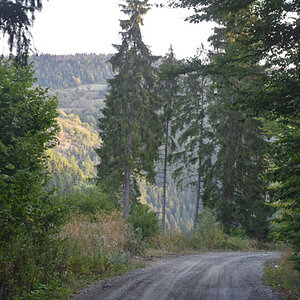 DSC_4781.jpg