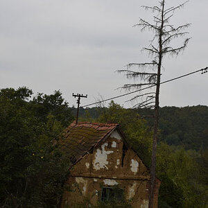 DSC_4927.jpg
