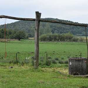 DSC_4974.jpg