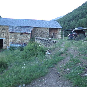 IMG_2331.JPG