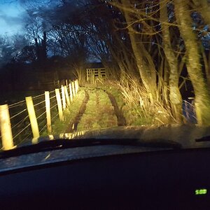 IMG-20180101-WA0006.jpg