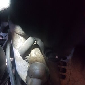 20180106_115242.jpg