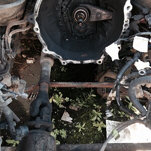 ABD30033-89E1-4F9A-8D30-AFB733A8E0C1.jpeg