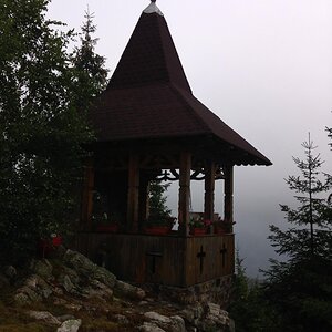 IMG_1230.jpg