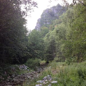 IMG_2050.jpg