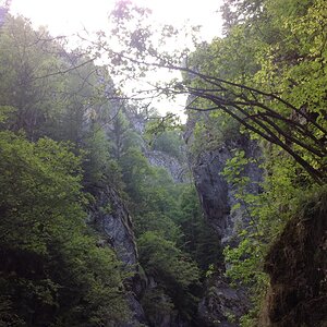 IMG_2052.jpg
