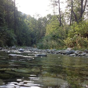 IMG_2060.jpg