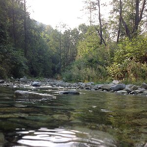 IMG_2061.jpg