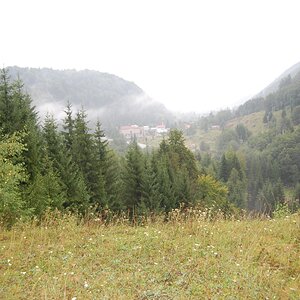 DSC_0076.jpg