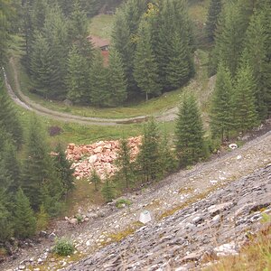 DSC_0083.jpg