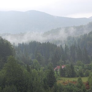 DSC_0105.jpg