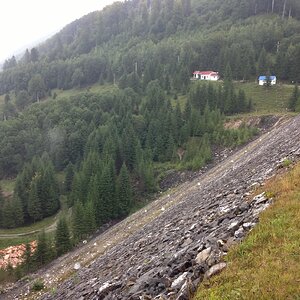 IMG_1205.jpg
