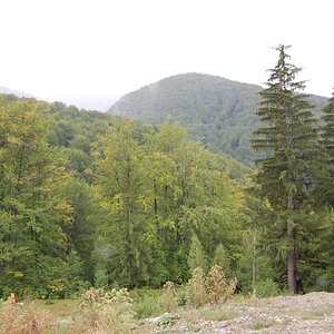 DSC_0122.jpg