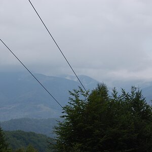 DSC_0124.jpg