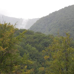 DSC_0128.jpg