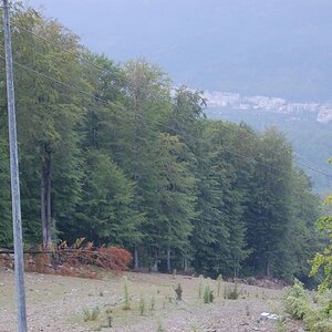 DSC_0135.jpg
