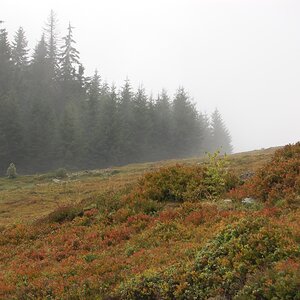 DSC_0154.jpg