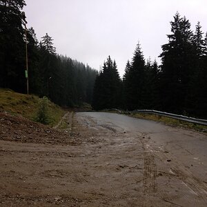 IMG_1217.jpg