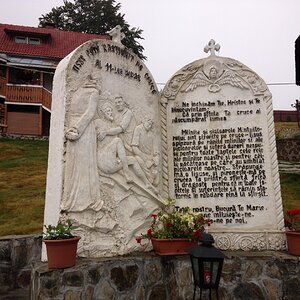 IMG_1229.jpg