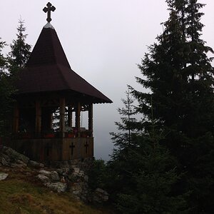 IMG_1231.jpg