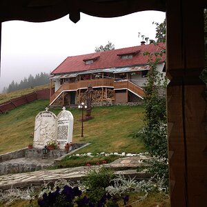 IMG_1237.jpg