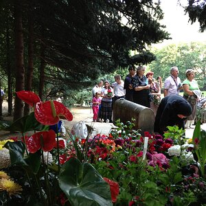 IMG_1270.jpg