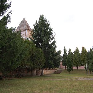 DSC_0182.jpg