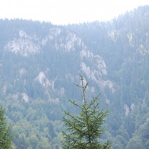 DSC_0453.jpg