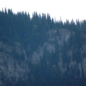 DSC_0455.jpg