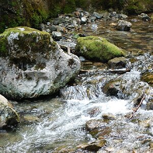 DSC_0467.jpg