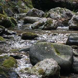 DSC_0468.jpg