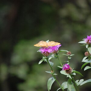 DSC_0488.jpg