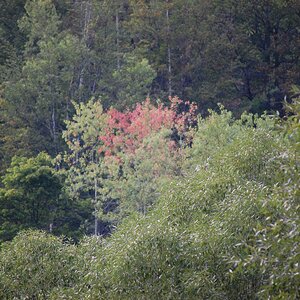 DSC_0490.jpg