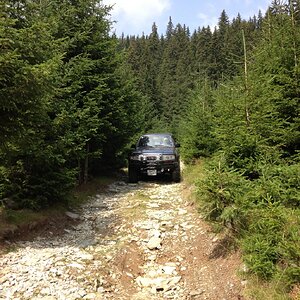 IMG_1309.jpg