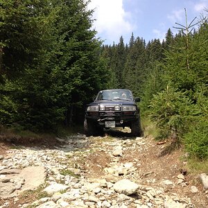 IMG_1310.jpg