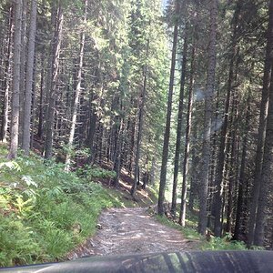 IMG_2020.jpg