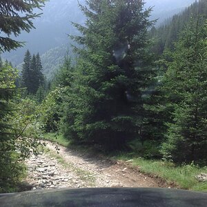 IMG_2026.jpg