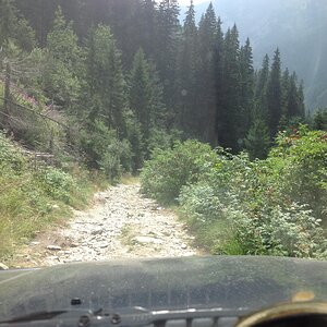 IMG_2028.jpg