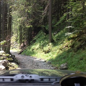 IMG_2033.jpg