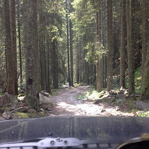 IMG_2035.jpg