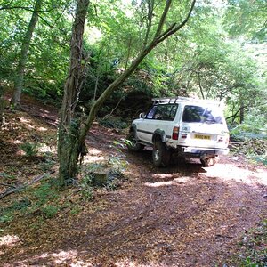 DSC_7190.JPG